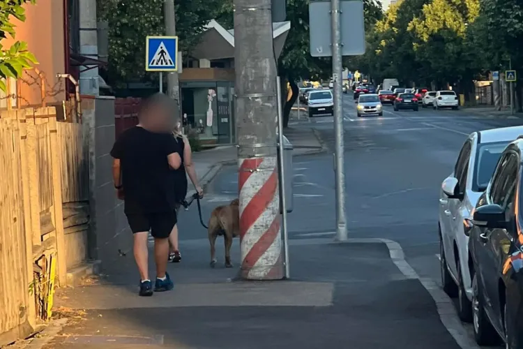 Ceartă tensionată în Cluj: Un câine își face „treaba” la poarta unui clujean, iar stăpâna înjură ca la ușa cortului. Acesta a reacționat acid