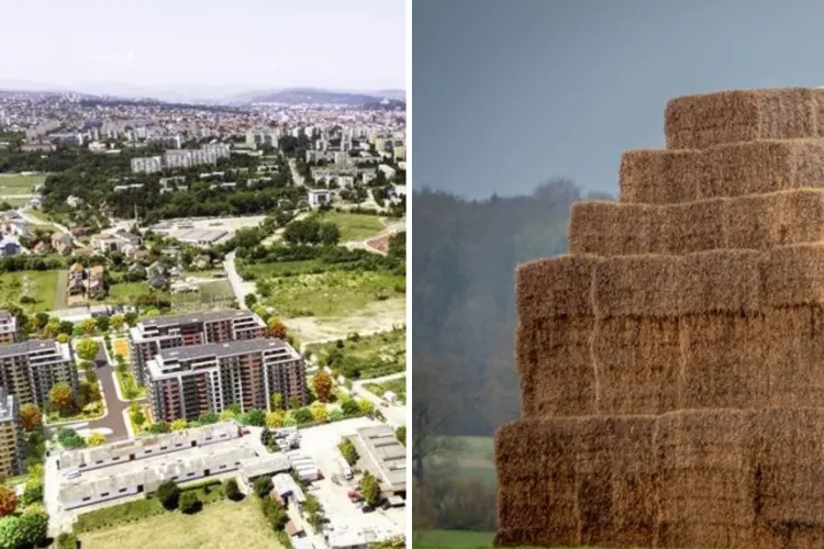 Bătăi cu scânduri în Cluj pentru baloți de fân: Unul dintre cei trei agresori are un trecut sângeros