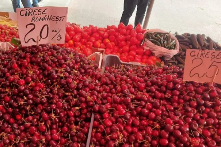 Scandalul cireșelor în Cluj: Producătorii locali, terorizați de indivizi dubioși care fură fructele din livadă și le vând „la negru”: „Ne-am săturat!”