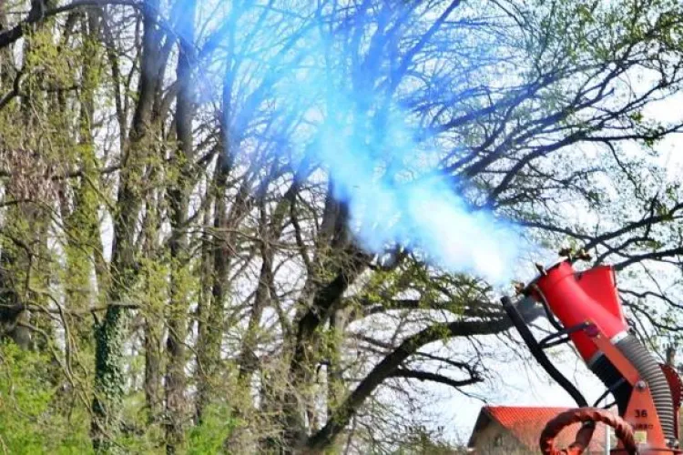 Cluj-Napoca, sub asediul țânțarilor! Locuitorii sunt exasperați: „Devine foarte deranjant, disconfortul creat fiind semnificativ” 