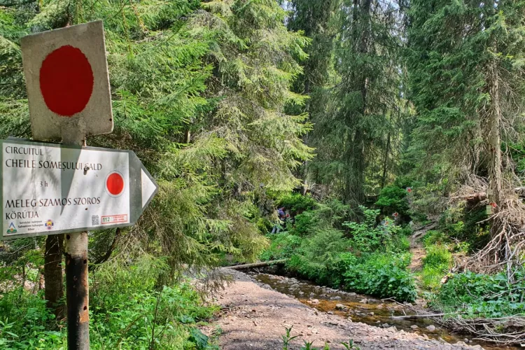 Traseul montan spectaculos din Cluj, din nou deschis! Lanțuri, peșteri și grohotișuri îi așteaptă pe drumeții cu nervii tari FOTO
