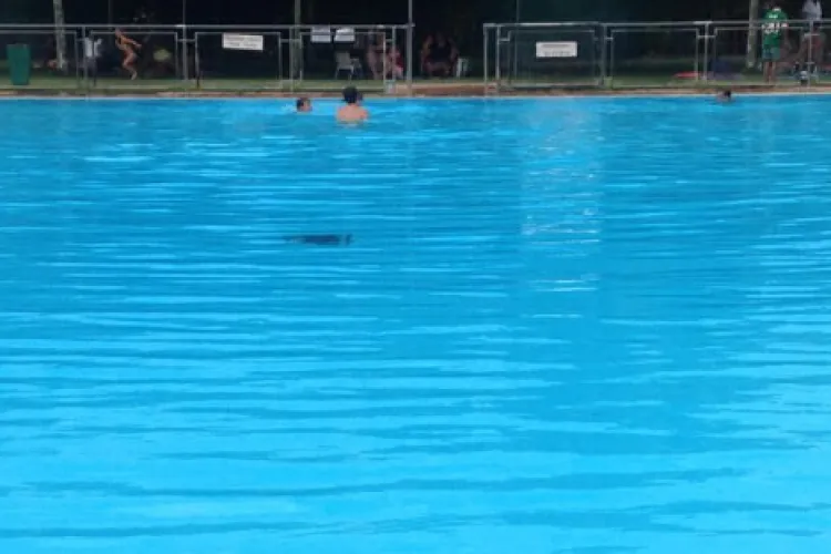 Clujenii exasperați de scandalul de la o piscină populară: „A bubuit muzica până la 3 noaptea. Trebuie să ieșim cu furci și topoare să ne facem dreptate?”