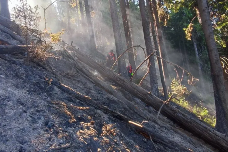Zeci de pompieri se luptă cu flăcările care au făcut pagube însemnate! Forțele de intervenție, sprijinite din aer  FOTO/VIDEO.