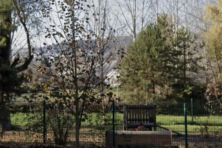 Spațiul unde vin să se joace câinii din Cluj a ajuns un pericol: Mobilier distrus și un miros de canal greu de suportat