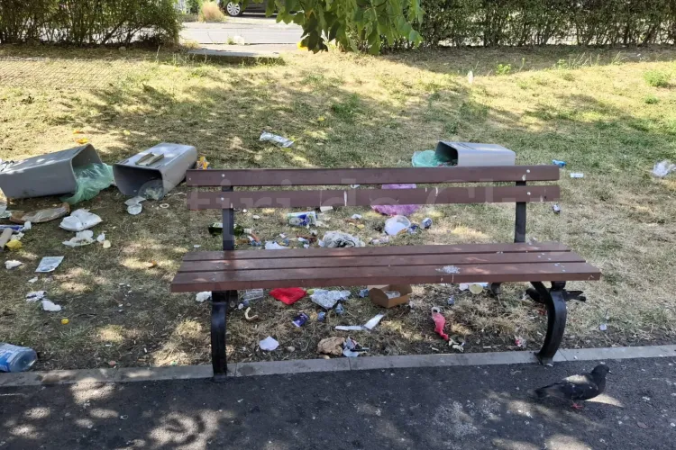 Parc transformat în focar de infecție într-un cartier din Cluj-Napoca: „Această mizerie este zilnic făcută de către familiile de cerșetori” FOTO