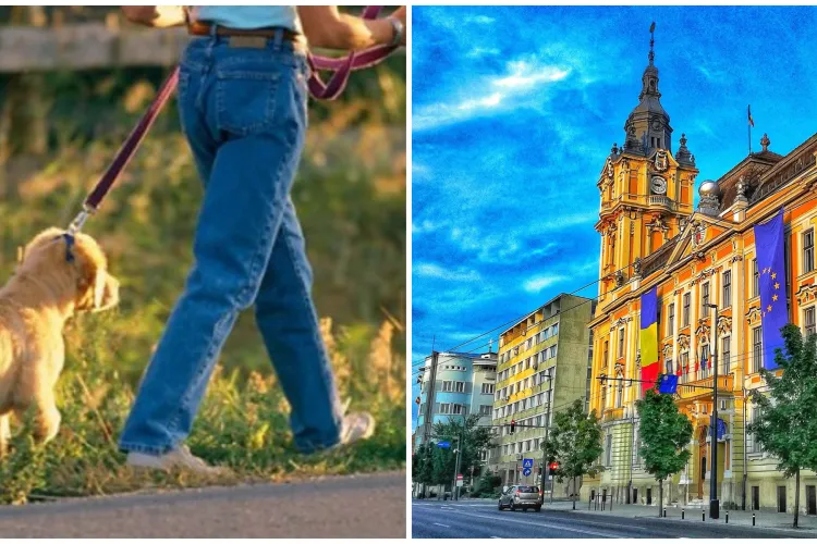 Proiect inedit la Cluj-Napoca! Necuvântătoarele vor putea intra legal în instituțiile publice. „Deschidem ușile pentru animalele de companie!”