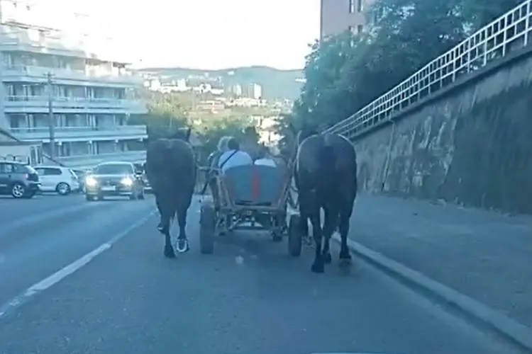 Clujul dă tonul! Căruța e cel mai nou „bolid” pe străzi: De când s-a scumpit benzina, clujenii aleg ECO/ S-ar putea să aibă nevoie bandă dedicată” VIDEO