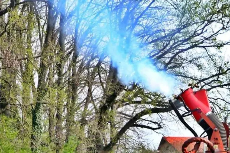 Coșmar pentru mai mulți clujeni! În plină vară sunt invadați de țânțari zi și noapte: „E imposibil să mai stăm cu geamurile deschise!”