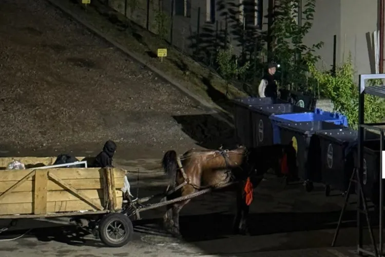 Cruzime fără margini în Cluj: Un cal slăbit e bătut cu biciul noapte de noapte sub ferestrele locatarilor. „Nu mai pot să aud cum îl lovește!” FOTO