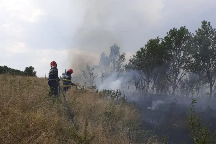 Hectare întregi de teren au ars într-un incediu la Cluj. Exista riscul ca focul să se extindă la case: „Nu mai dați foc la vegetație. E bombă cu ceas” FOTO