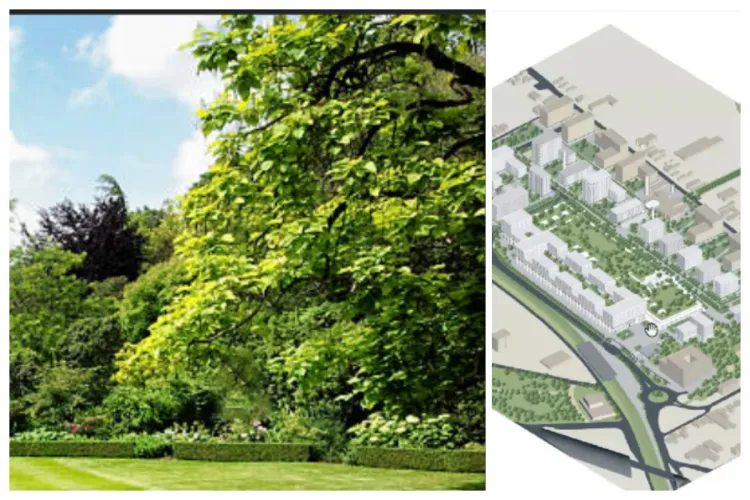 Spații verzi URIAȘE apar la Cluj: 5 hectare de teren din Cluj-Napoca se vor transforma radical și vor deveni „parc”. Unde va fi noua zonă verde a Clujului