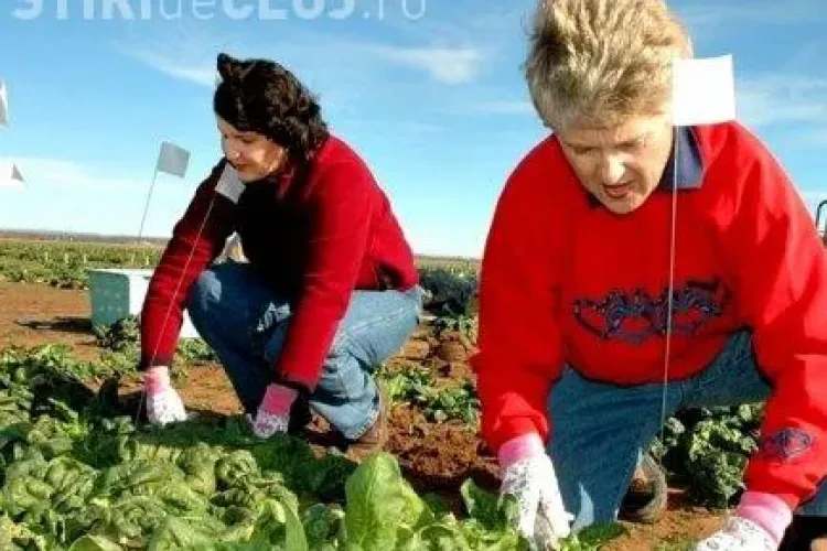 Spania restrictioneaza accesul muncitorilor romani pe piata muncii