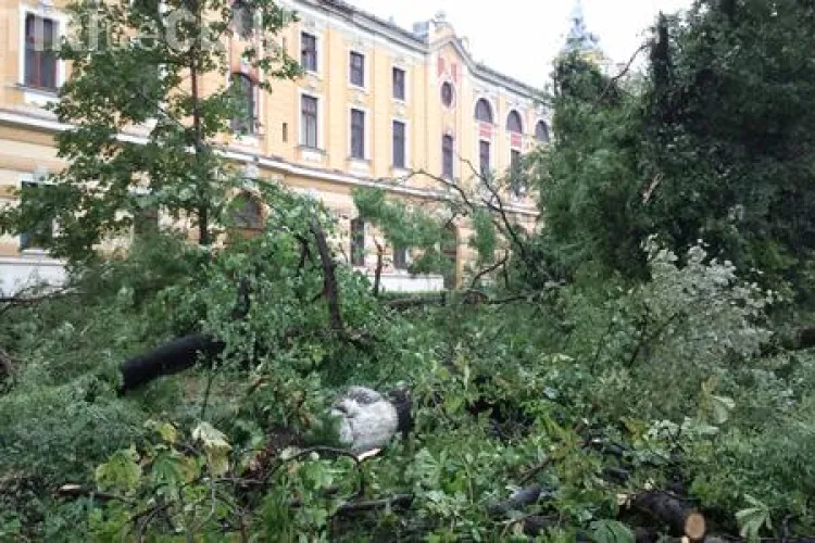 Zeci de copaci, culcati la pamant in parcul din spatele Teatrului National din Cluj-Napoca de vijelie VIDEO si FOTO