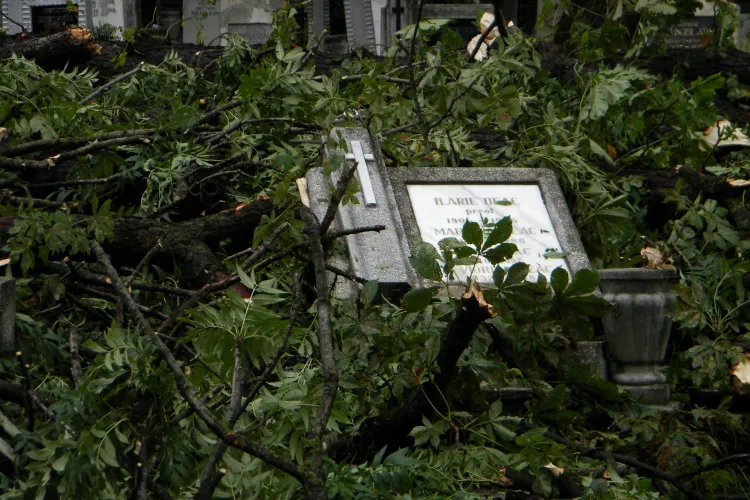 Morminte rasturnate si cruci daramate in Cimitirul Central, in urma furtunii de miercuri dupa-masa VIDEO si FOTO