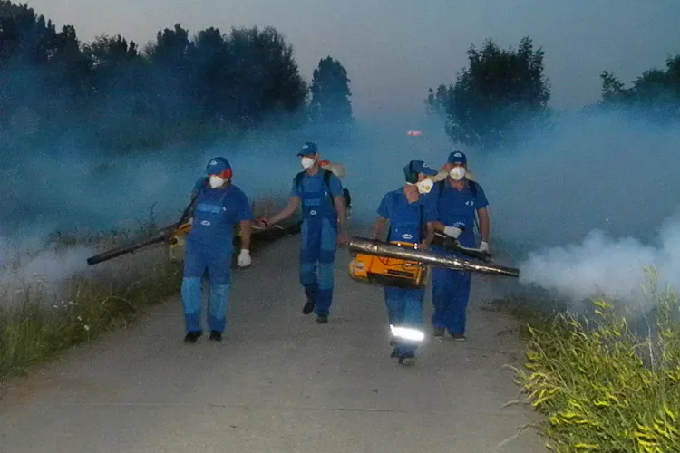 Dezinsectie in Cluj in perioada 7-23 iulie! Actiunea va avea loc noaptea VIDEO