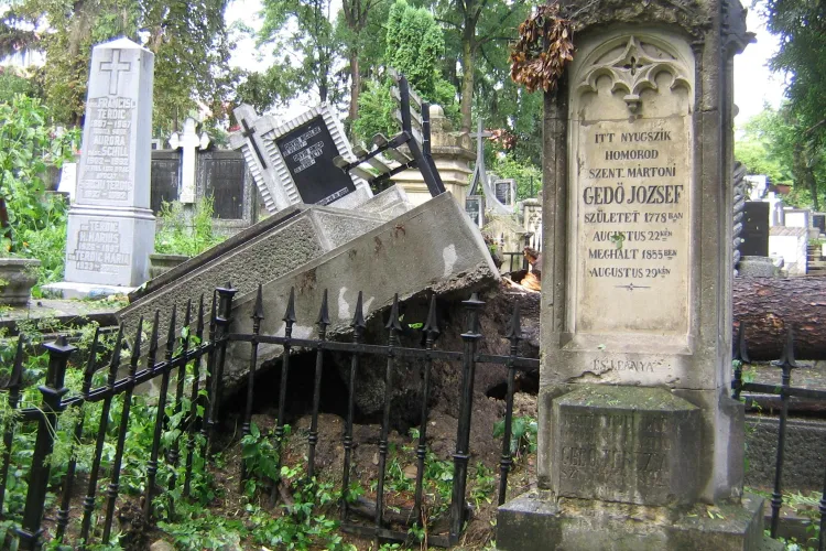 Primaria Cluj curata aleile de acces din Cimitirul Central, dupa dezastrul produs de furtuna - FOTO