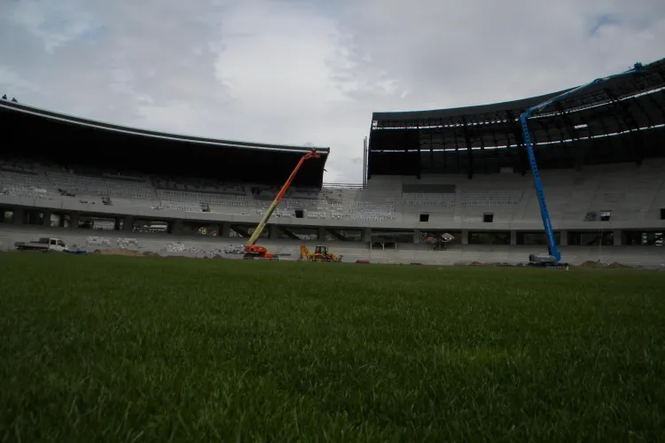 Infiintarea societatii Cluj Arena a fost amanata