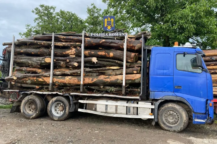 Cluj: I-au confiscat lemnul cu tot cu camion. Toleranță zero față de traficul ilicit de material lemnos VIDEO FOTO
