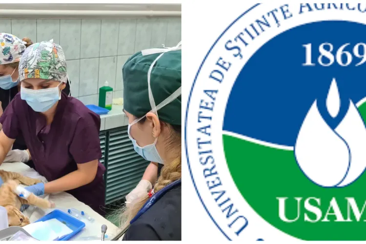 Zeci de studenți veterinari și medici se implică în Spay Day 2025 - Maratonul sterilizărilor gratuite la USAMV Cluj. Vezi cum se face o programare