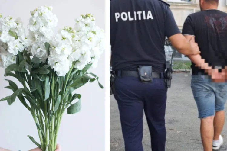 Scene șocante într-un magazin din Cluj: Un bărbat și-a atacat fosta iubită cu flori, deși avea interdicție să se apropie de ea!