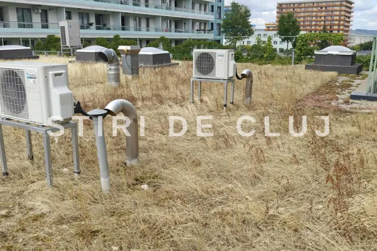 Peisaj deșertic în mijlocul Clujului! Iarba uscată și buruienile crescute neîngrijit transformă terasa din fața unui bloc în junglă uscată