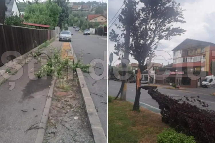 VIDEO. Atenție, clujeni! Furtuna din Cluj-Napoca a început să provoace daune. Copaci rupți într-un cartier