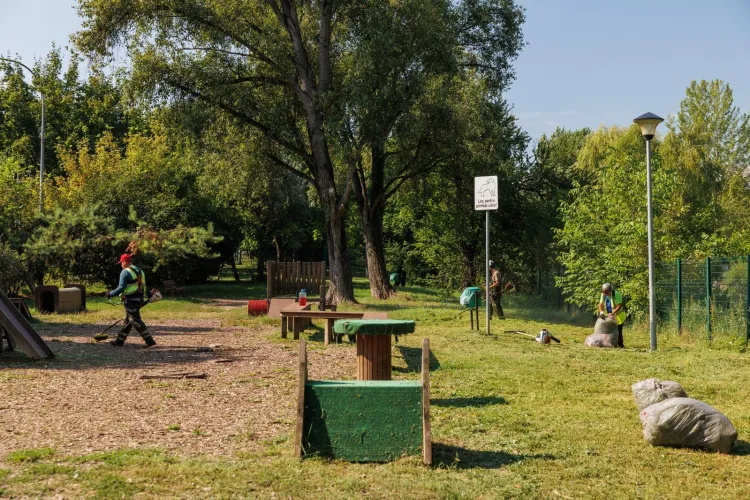 Parc pentru câini din Cluj, capcană pentru stăpâni? Clujenii avertizează: „Dacă intră un câine agresiv, nu avem pe unde să ieșim!”