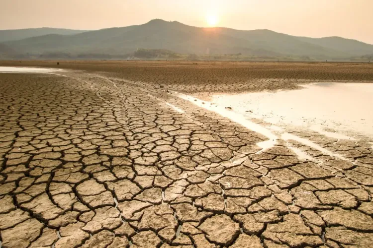 Anunț important pentru toți fermierii din Cluj care au fost ruinați de secetă. Ce trebuie să facă în aceste zile