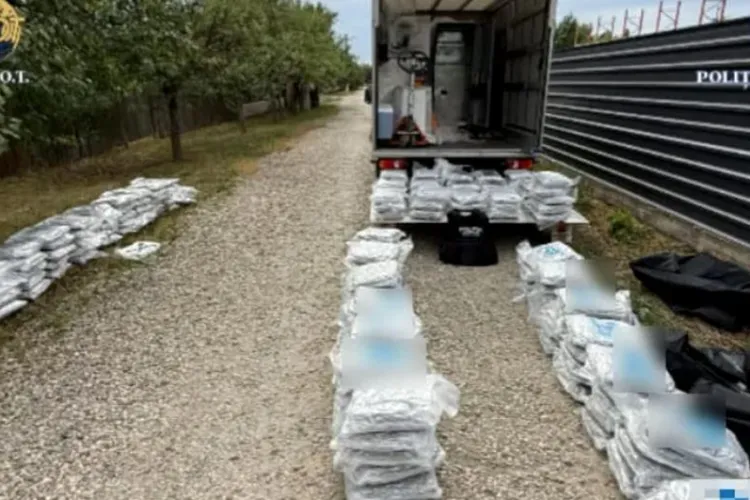 Poliția a anihilat o rețea de trafic de droguri cu depozit la Cluj. Substanțe de 3 milioane de euro introduse în țară în aparate de cafea