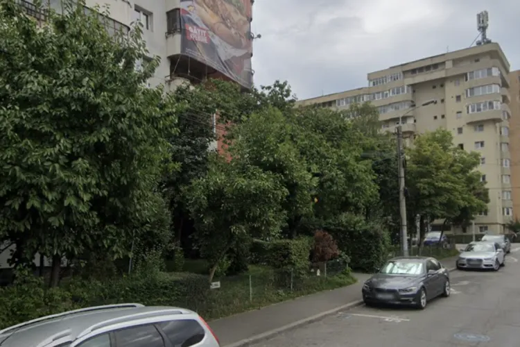 Arbore neîngrijit amenință clujenii din Mănăștur. Trotuar și locuri de parcare, în pericol! „Poate cădea în orice moment!”