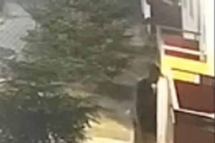 Alertă într-un cartier din Cluj! Un hoț a fost filmat cotrobăind prin balcoane și mașini la 5 dimineața – locuitorii cer ajutorul comunității VIDEO