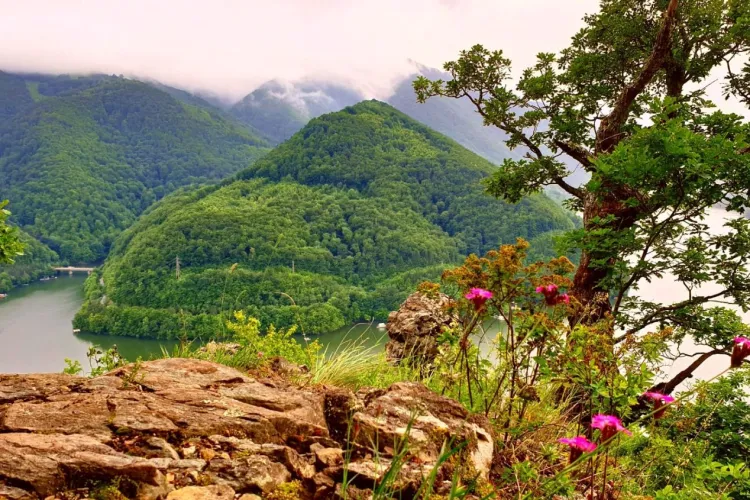 „Balconul secret al Apusenilor” e în Cluj: Un colț de natură spectaculos, dar uitat de lume. Cum ajungi acolo și ce legende bântuie locul