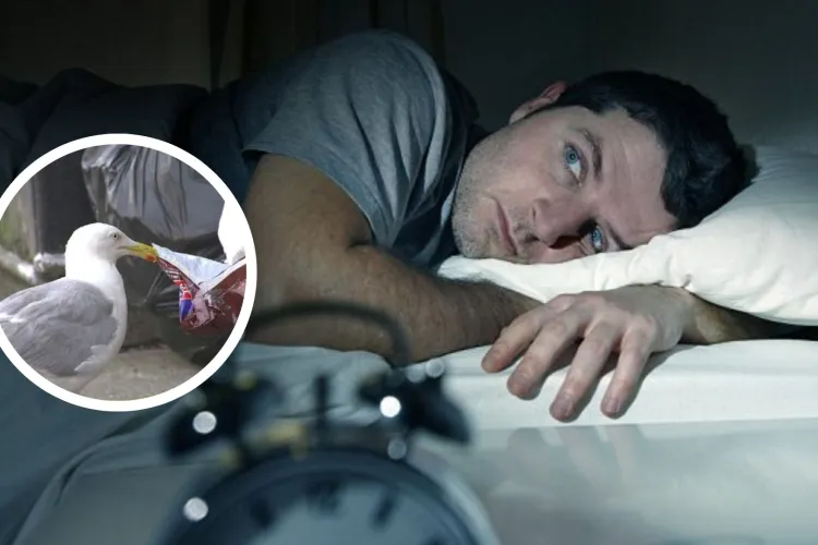 „Concert” de peșcaruși într-un cartier din Cluj-Napoca: Locuitorii se plâng de gălăgia infernală: „Fac ca toți dracii, nu mai rezistăm!”