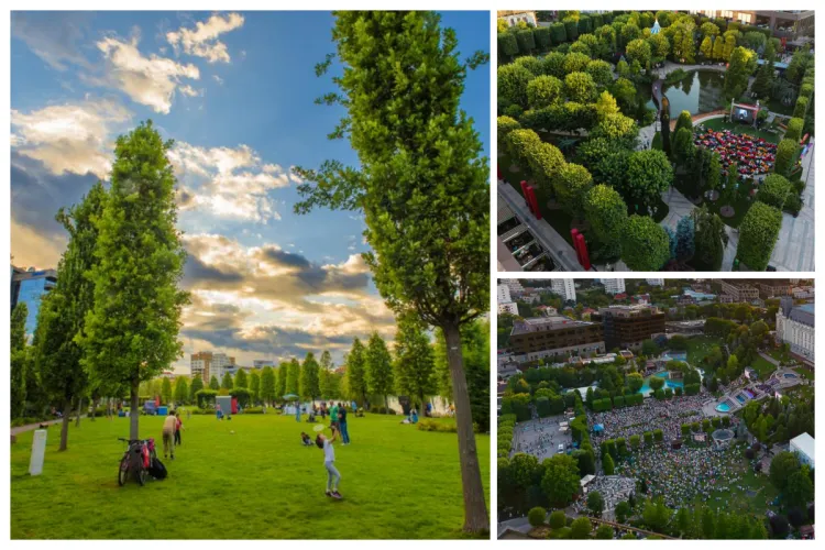 VIDEO. Trei grădini urbane uriașe amenajate de la zero în Cluj-Napoca, Iași, Timișoara: 18 hectare spații verzi, peste 80.000 arbori maturi și arbuști