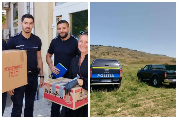 Ce spune Asociația Sirius Animal Rescue despre controlul făcut de poliție: „Ne-au plasat în grijă zeci de animale. Noi am preluat de la ei câinii de luptă”