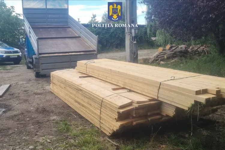 Descinderi în Cluj! Polițiștii au confiscat material lemnos în valoare de mii de lei în urma unor controale de noapte desfășurate în trei comune