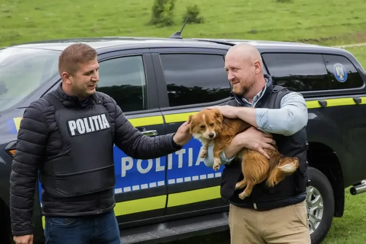 Poliția Cluj trece la acțiune împotriva nerespectării legii privind animalele: Zeci de sancțiuni și sute de patrupede sterilizate în weekend