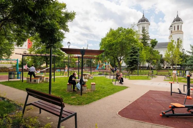 Scandal în Parcul Farmec din Cluj! Câini fără lesă și fecale lângă groapa de nisip: „Siguranța copiilor e ignorată complet!”