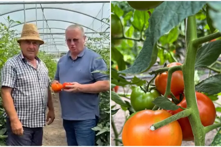 VIDEO. Remus Lăpușan l-a vizitat pe „domnul Adrian”. Ce produse „gustoase” a găsit la om în ogradă: „Vă îndemn să le consumați cu plăcere!”