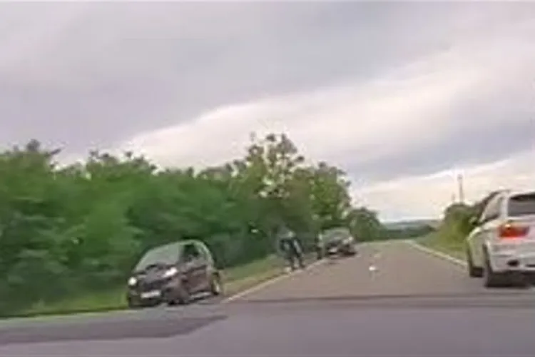 O biată căprioară a fost lovită de o mașină la Apahida VIDEO