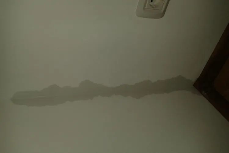 Drama locatarilor dintr-un bloc nou din Cluj: Infiltrații de ani de zile și un constructor care blochează orice reparație!