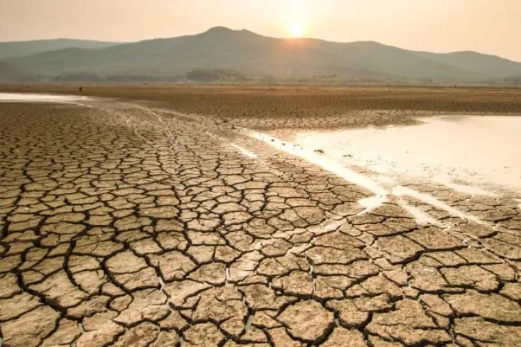 Seceta face ravagii! Mii de hectare compromise, autoritățile abia mai țin pasul cu dezastrul