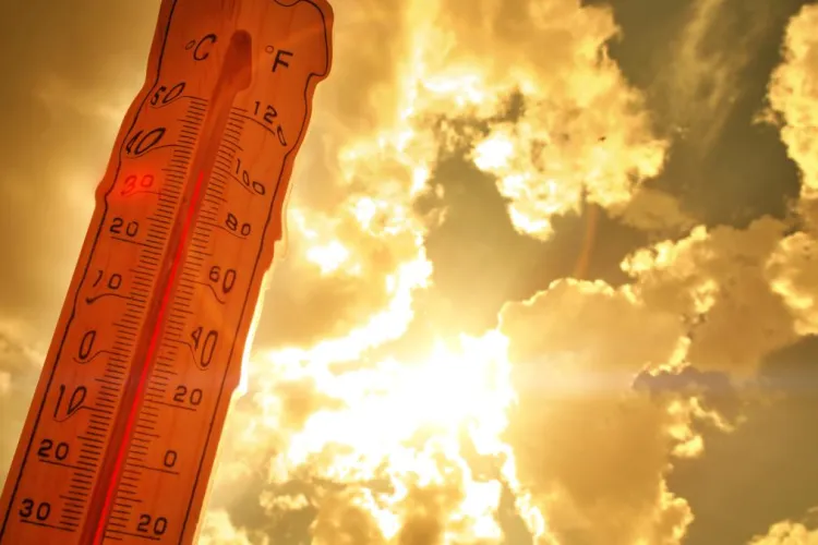 România se sufocă sub valul de caniculă! Temperaturi extreme care nu s-au mai resimțit din anul 1951. Ce ne avertizează meteorologii