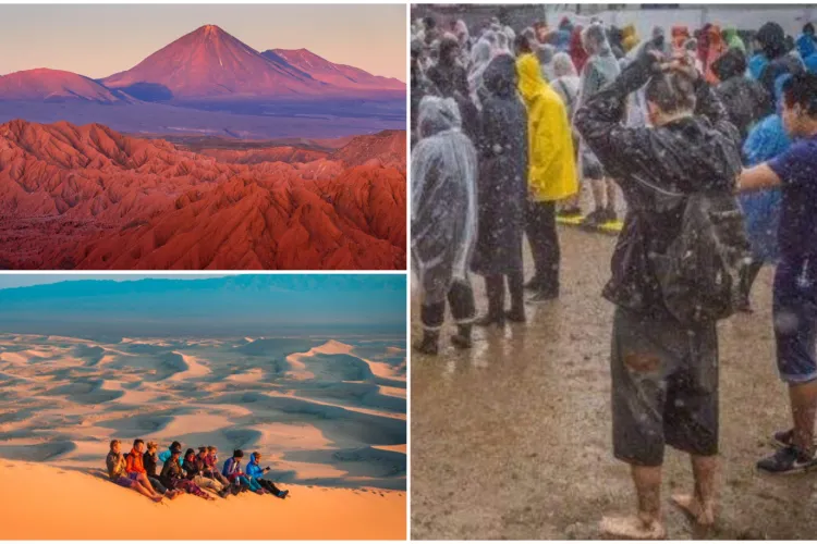 Activiștii clujeni le „plâng” de milă celor de la Electric Castle: „La invitația guvernelor Chile, Maroc și Mongolia, ediții speciale EC în Sahara și Gobi”