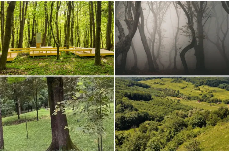 Ce răspuns a primit un clujean care a cerut o listă cu „locuri frumoase de ieșit în natură” lângă Cluj-Napoca. Unele variante sunt surprinzătoare