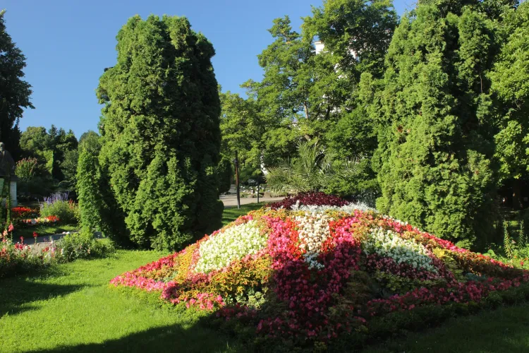 Spectacol de culoare la Grădina Botanică din Cluj-Napoca! Cea mai spectaculoasă colecție de plante din ultimii ani: „ Nu ratați ocazia” FOTO