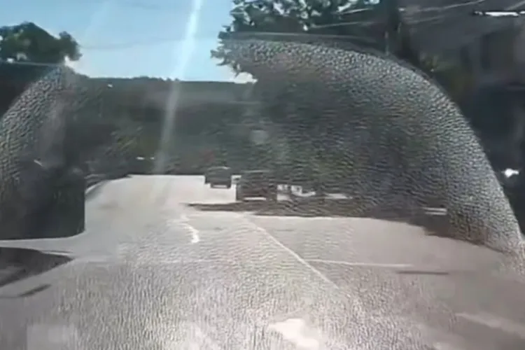 Trafic cu emoții în Cluj-Napoca: Un șofer CTP a intrat brusc în fața unei mașini, iar momentul era să se transforme într-un impact frontal VIDEO