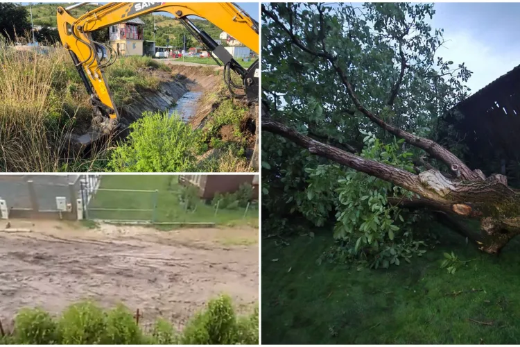 Prăpăd după furtuna din Apahida. Primăria a intervenit prompt, „zi și noapte”. Mai mulți copaci s-au prăbușit 