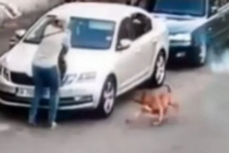 O clujeancă și câinele ei au fost atacați de un câine lăsat liber. Aceasta și-a salvat patrupedul folosind un spray: „Am urlat, dar degeaba!”