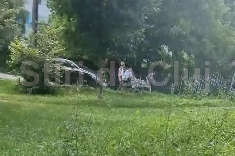 VIDEO Trei tineri clujeni filmați când fug cu tot cu căruciorul de cumpărături de la magazinul Lidl din Baciu: „Paznicul după ei. Dar l-au ignorat complet”